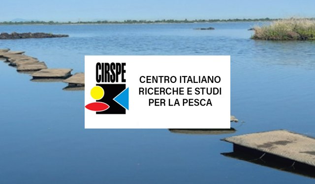 Ostriche: il progetto per mitigare gli ostacoli e incrementarne l’allevamento