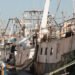 Pesca: bene contrarietà italiana al piano d’azione