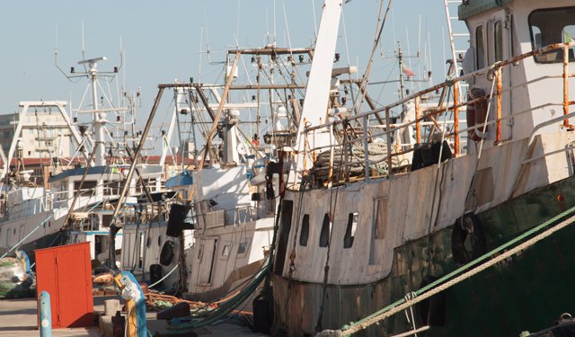 Pesca: bene contrarietà italiana al piano d’azione 