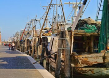 Decise quote pesca 2024 per Mediterraneo e Mar Nero