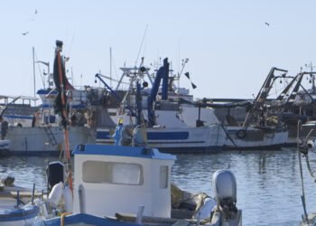 Piano d'azione. Unci Agro Alimentare: NO a sciopero come protesta