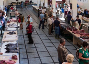Resiste il mercato ittico portoghese