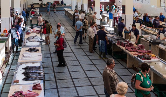 Resiste il mercato ittico portoghese
