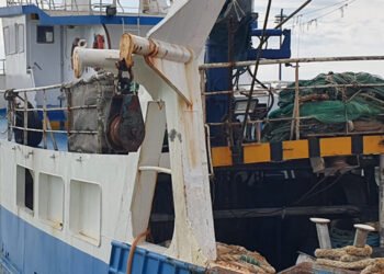 Scognamiglio: contrari alle misure dell'Ue sulla pesca