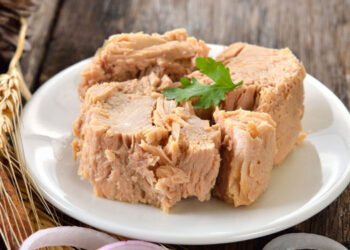 Tonno in scatola e conserve ittiche: ecco le ultime evidenze scientifiche