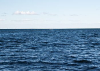 Federpesca al Salone Nautico di Genova 2023