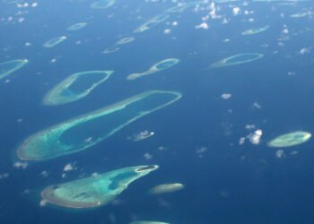 Attrezzi da pesca popolano le barriere coralline