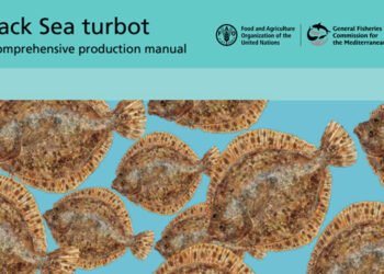 CGPM presenta "Black Sea rombot: A complete production manual"