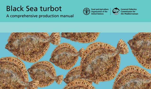 CGPM presenta "Black Sea rombot: A complete production manual"