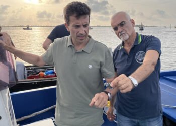 Granchio blu. Assessore Corazzari in sopralluogo nel delta