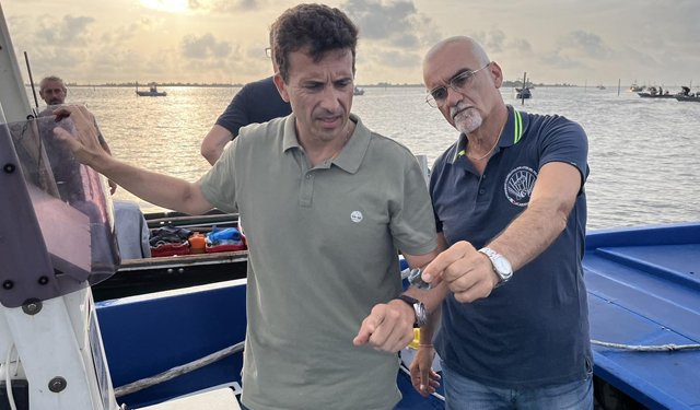 Granchio blu. Assessore Corazzari in sopralluogo nel delta