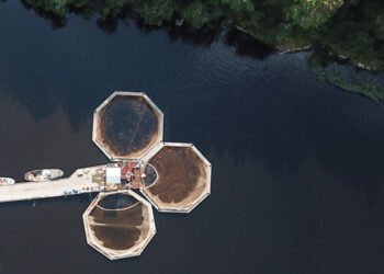 Impianti, innovazione e sostenibilità dell’acquacoltura