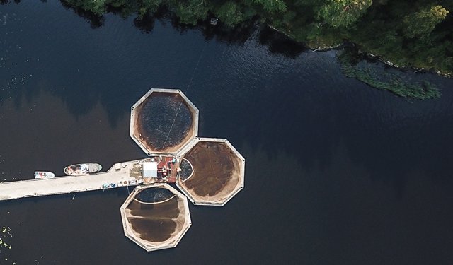 Impianti, innovazione e sostenibilità dell’acquacoltura