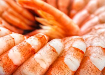 La Cina raddoppia l'importazione di gamberi