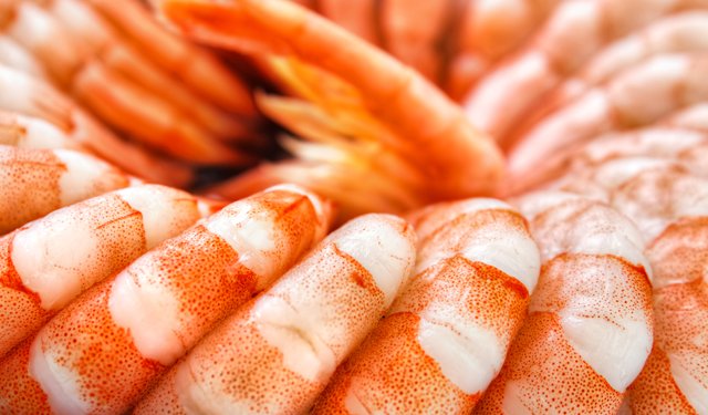 La Cina raddoppia l'importazione di gamberi