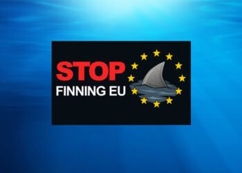 La Commissione accoglie con favore l'iniziativa "Stop finning – Stop the trade"