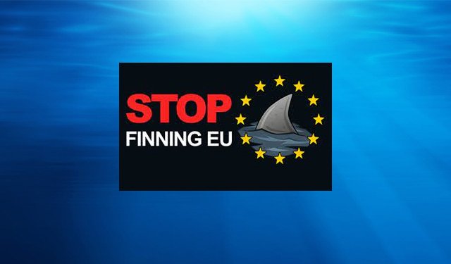 La Commissione accoglie con favore l'iniziativa "Stop finning – Stop the trade"
