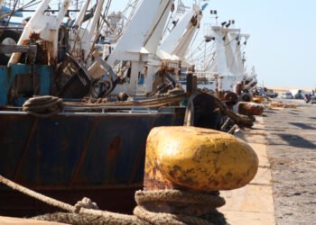 La Regione Siciliana dispone fermo obbligatorio per ottobre