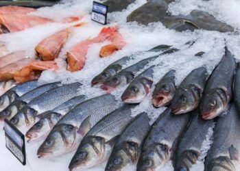 Nel 2030 oltre 9 prodotti ittici su 10 potrebbero essere di importazione