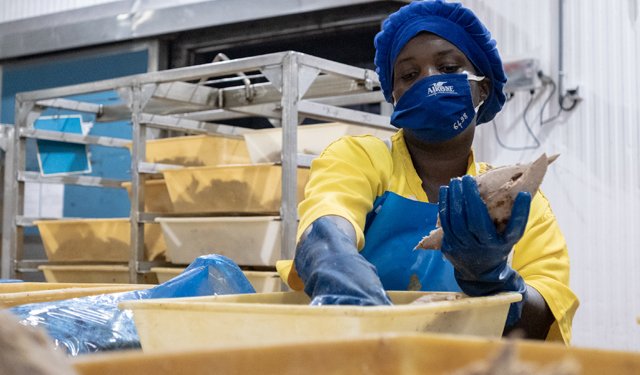 La catena del valore di Airone Seafood