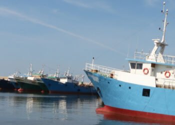 Pesca. La Sicilia si ferma nel mese di ottobre