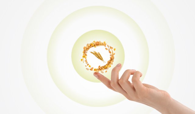 Skretting Italia è la prima OpCo di Nutreco a certificare MyFeedPrint