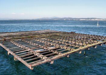 Acquacoltura globale: prospettive e sfide 2023