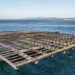 Acquacoltura globale: prospettive e sfide 2023