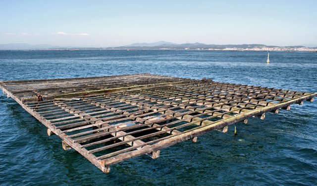 Acquacoltura globale: prospettive e sfide 2023