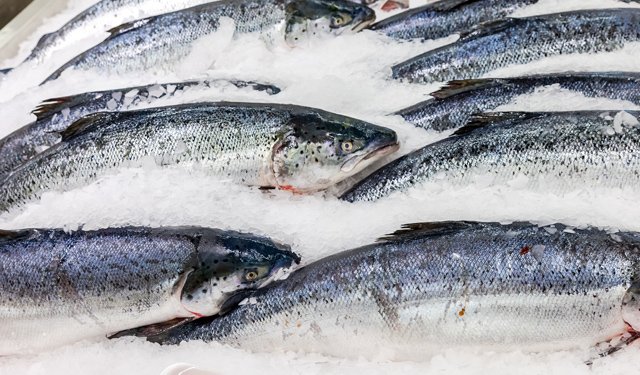 Boom delle esportazioni di salmone norvegese in Cina