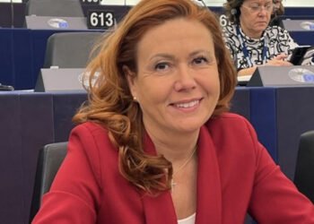 Conte: Granchio blu, la Regione del Veneto si mobilita con aiuto concreto 