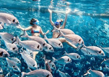 Diversificare, la nuova parola d'ordine per l'acquacoltura in Grecia