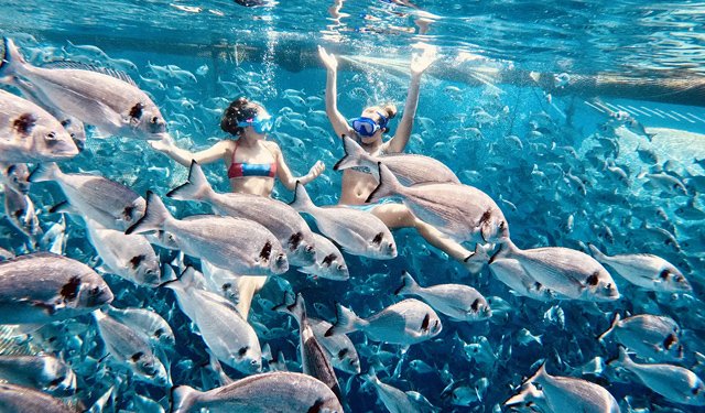 Diversificare, la nuova parola d'ordine per l'acquacoltura in Grecia