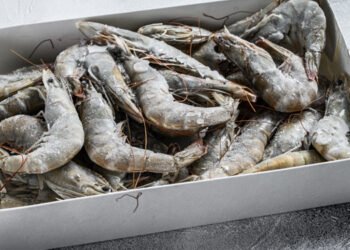 Gamberi. In Ecuador aumenta il volume delle esportazioni