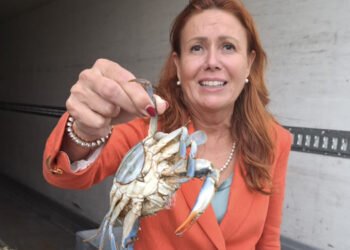 Granchio blu, Conte: "Adriatico ha bisogno di soluzioni, non solo di mancette"