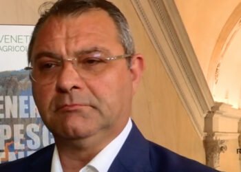 Granchio blu: in arrivo ristori per i consorzi dell'alto Adriatico