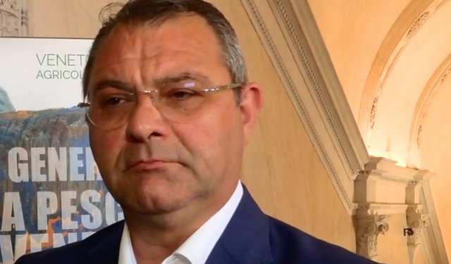 Granchio blu: in arrivo ristori per i consorzi dell'alto Adriatico