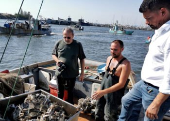 Granchio blu, intero settore economico in ginocchio e territorio in crisi