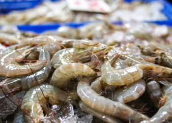 L'Ecuador domina il mercato cinese dei gamberi