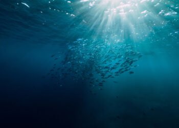 Thai Union ha pubblicato il Bilancio di Sostenibilità 2022