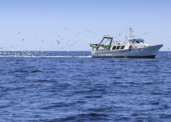 Alleanza Cooperative: bene ricorso Italia al Regolamento controllo pesca