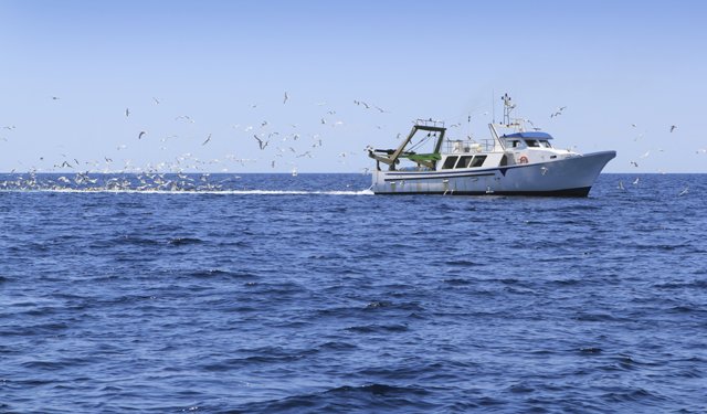 Alleanza Cooperative: bene ricorso Italia al Regolamento controllo pesca