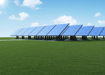 Bando Parco Agrisolare per aziende ittiche: istruzioni per l’uso