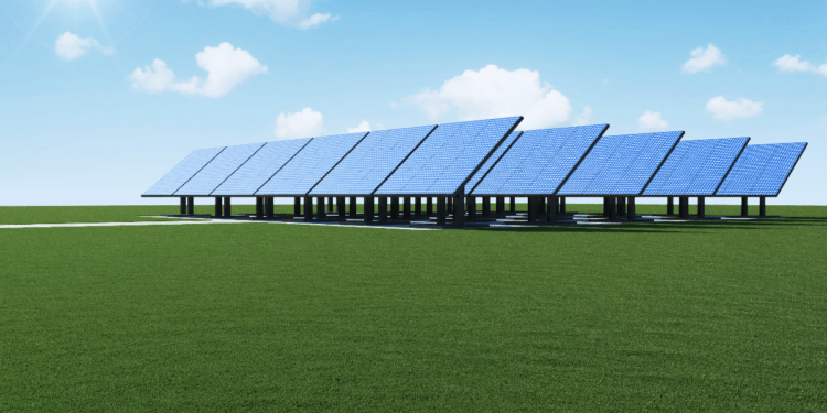 Bando Parco Agrisolare per aziende ittiche: istruzioni per l’uso