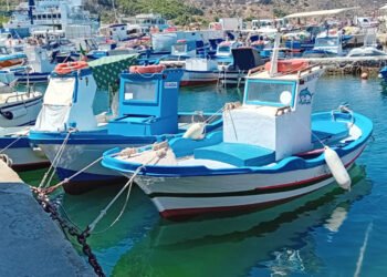 D'Amato: "Quote tonno rosso anche alla piccola pesca, una vittoria a metà"