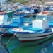 D'Amato: "Quote tonno rosso anche alla piccola pesca, una vittoria a metà"