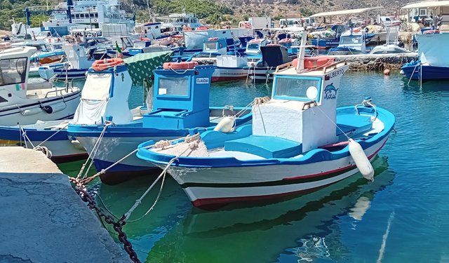 D'Amato: "Quote tonno rosso anche alla piccola pesca, una vittoria a metà"