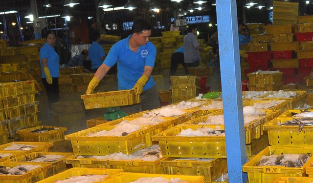 Esportazioni di tonno vietnamita: andamento e tendenze 