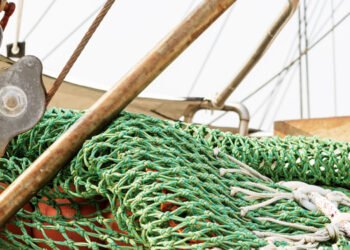 Fermo pesca dal Tirreno allo Ionio