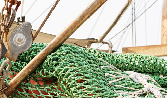 Fermo pesca dal Tirreno allo Ionio